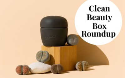 Clean Beauty Box Roundup January 2022
