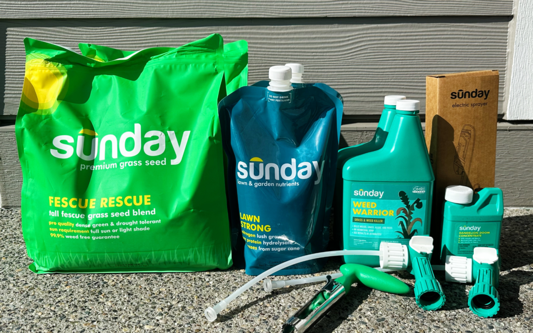 Sunday Lawn Care (Tested + Reviewed)